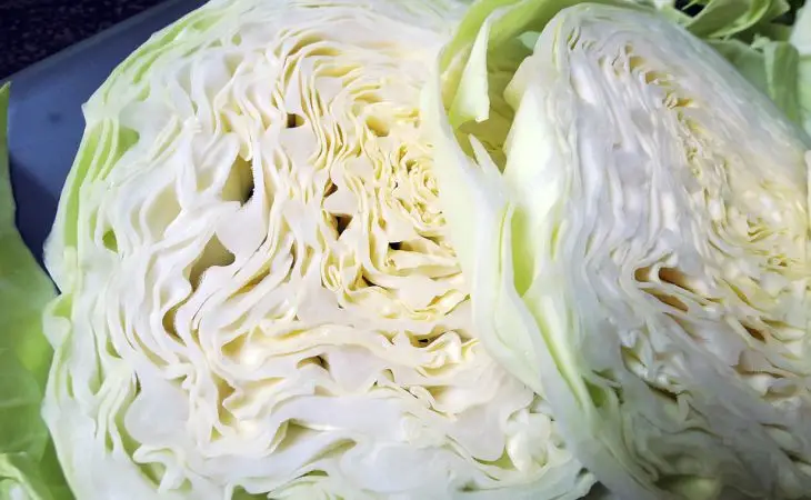 2 любимых сорта белокочанной капусты по итогам 5 лет: других и искать не нужно