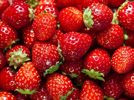 Дайте клубнике аспирин и готовьте огромные ящики для сбора урожая: ягода будет крупная и сладкая