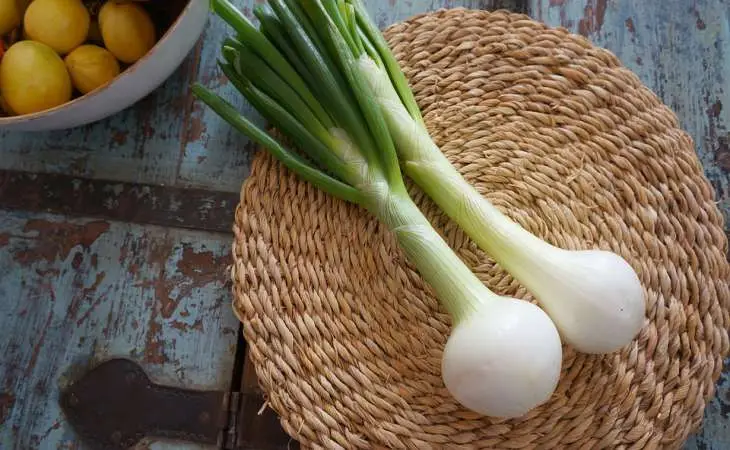 Как обработать лук-севок перед посадкой, чтобы на нём не было стрелок