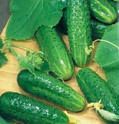 Огурцы «Маша F1»