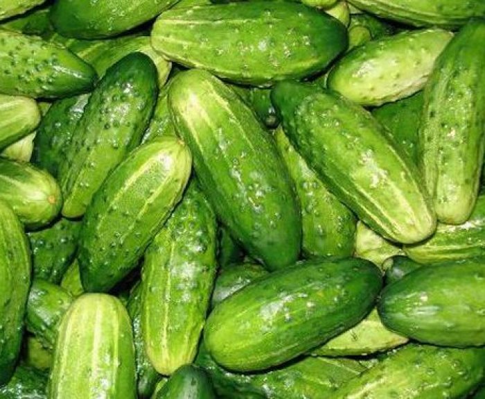 Огурец Нежинский