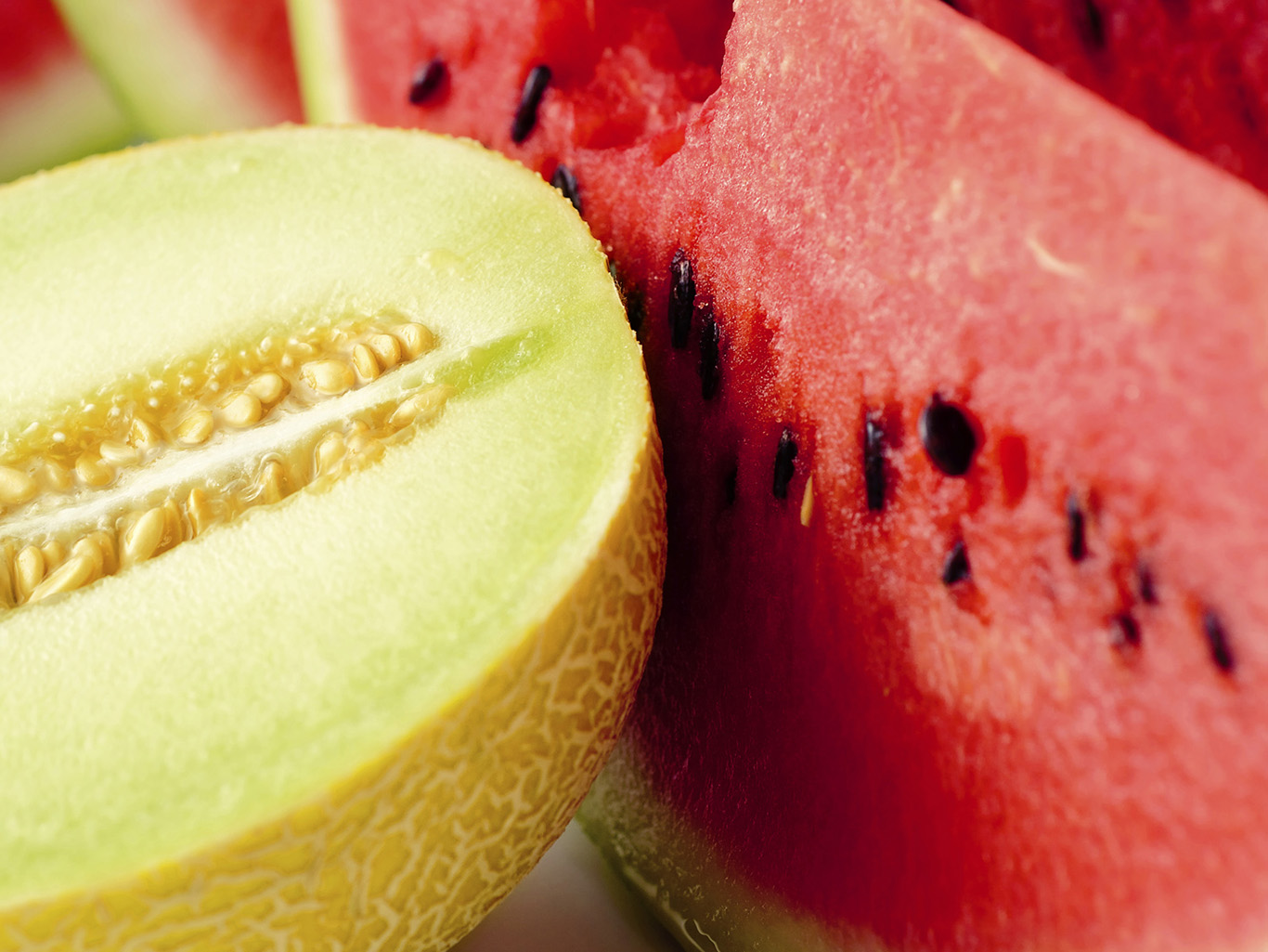 Секреты арбузно-дынной грядки