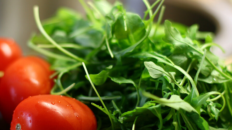 Рукола: польза и вред для здоровья