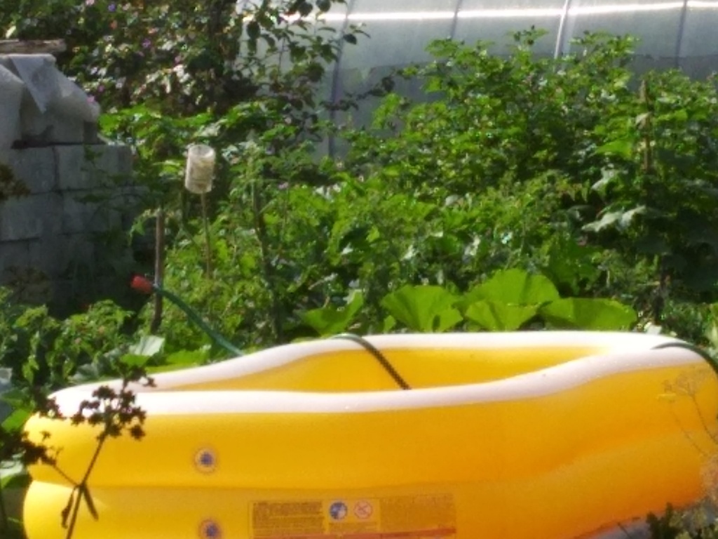 Бассейн у дома: уход